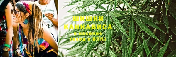 СК Алзамай