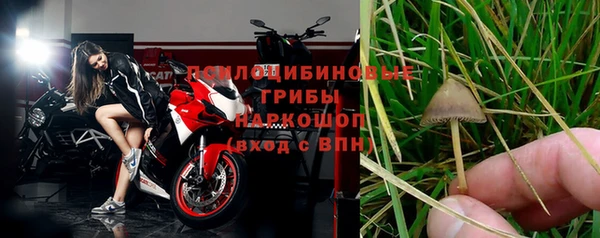 дмт Алексеевка