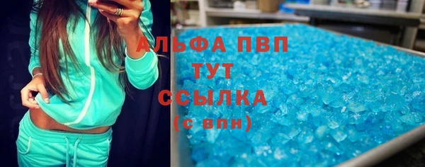 СК Алзамай