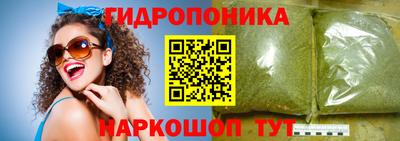 прущие крисы Славгород
