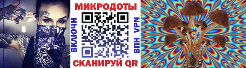 Галлюциногенные грибы прущие грибы  где купить наркоту  Биробиджан 