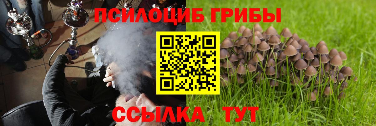 Галлюциногенные грибы прущие грибы Биробиджан