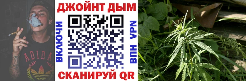 Бошки марихуана план  ОМГ ОМГ ссылки  Биробиджан 