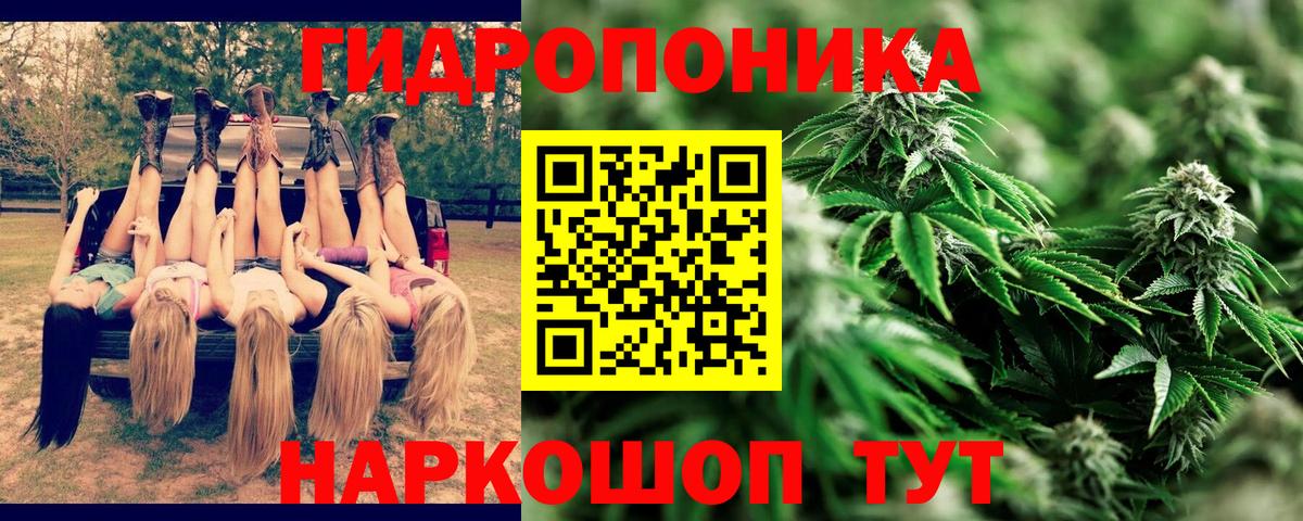 Марихуана THC 21%  Бошки марихуана AK-47  Марихуана план  Биробиджан  Вход с VPN 